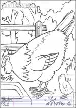coloriage-poule-3